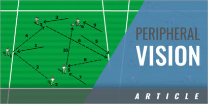 Peripheral Vision Coaching Session