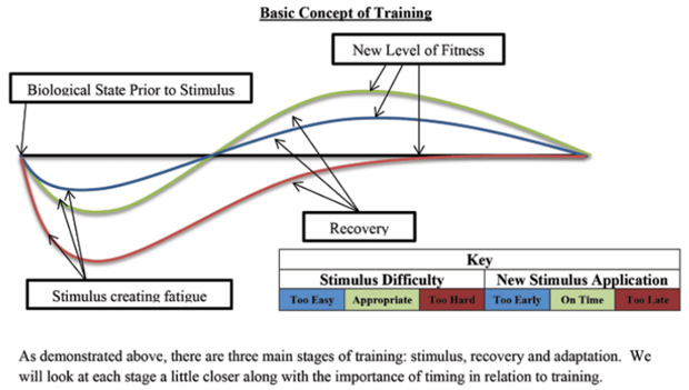 Sorting Out Periodization