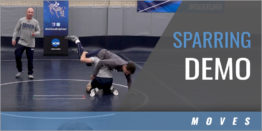 Sparring Demo
