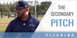 Developing the Secondary Pitch