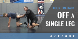 Counterattack Off a Single Leg