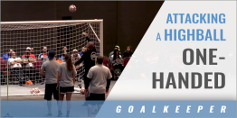 Goalkeeper: Attacking a Highball Using One Hand