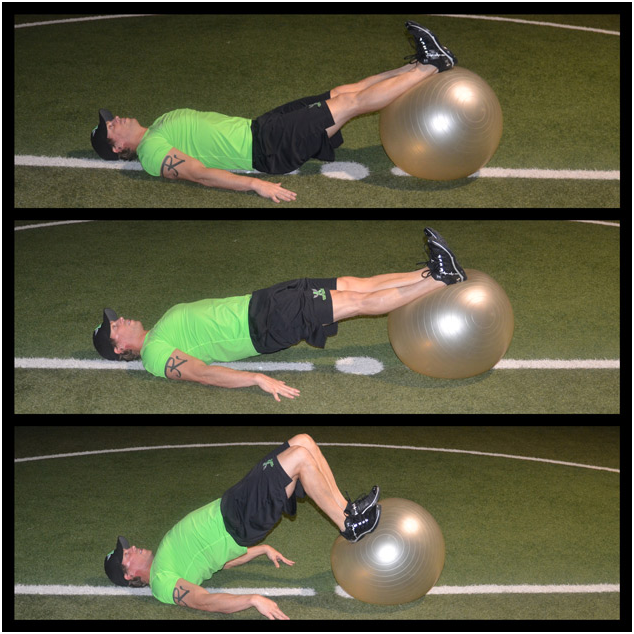 Physioball Hamstring Curls