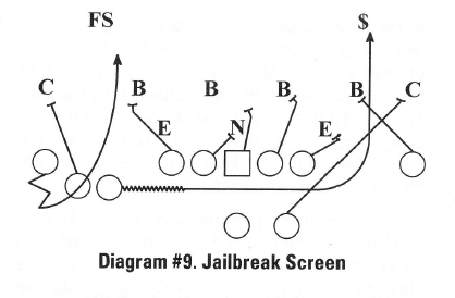 Diagram #9. Jailbreak Screen