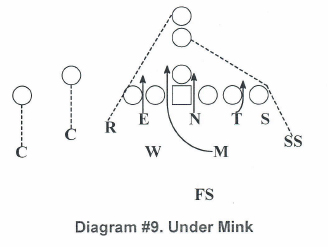 Diagram 9: Under Mink