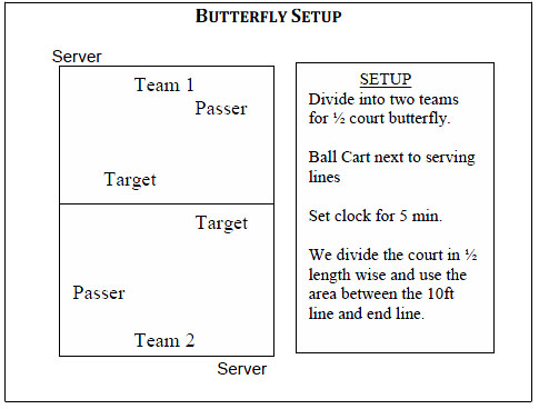 Butterfly set-up sheet
