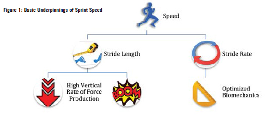 Seven ways to improve your sprinting, Running